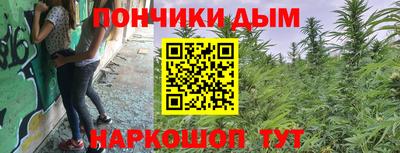 молекула духа Пенза
