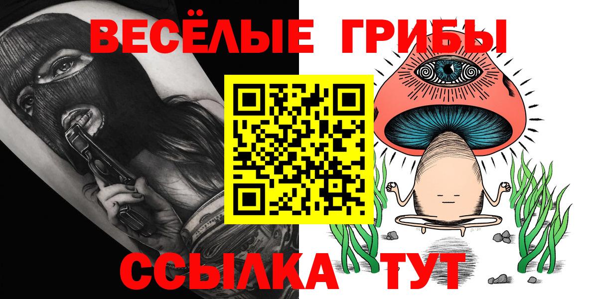 Псилоцибиновые грибы GOLDEN TEACHER Ртищево