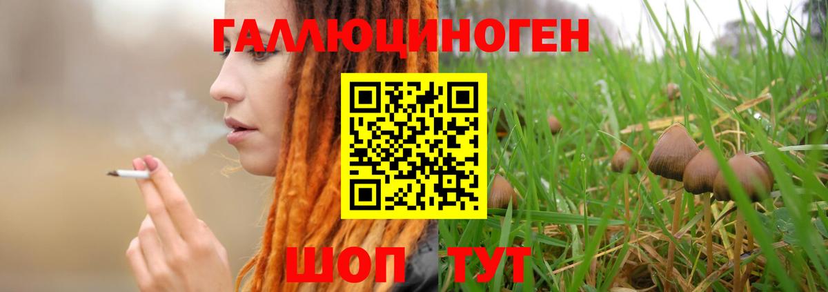 Галлюциногенные грибы мухоморы  Вход с VPN  Ртищево 
